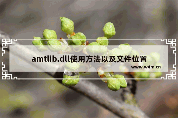 amtlib.dll使用方法以及文件位置