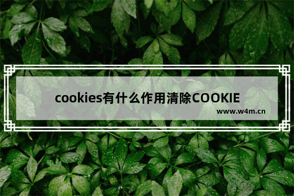 cookies有什么作用清除COOKIES有什么好处