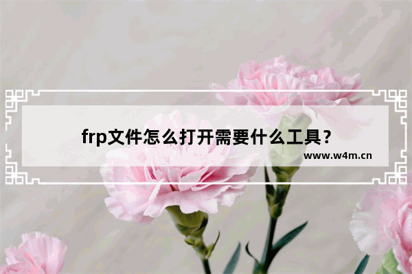 frp文件怎么打开需要什么工具？