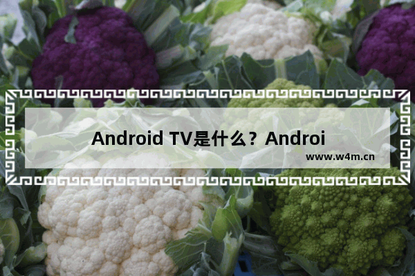 Android TV是什么？Android TV有什么用