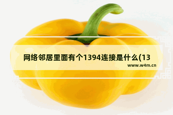 网络邻居里面有个1394连接是什么(1394连接有什么用)