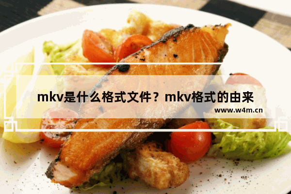 mkv是什么格式文件？mkv格式的由来