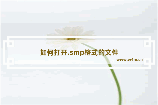 如何打开.smp格式的文件