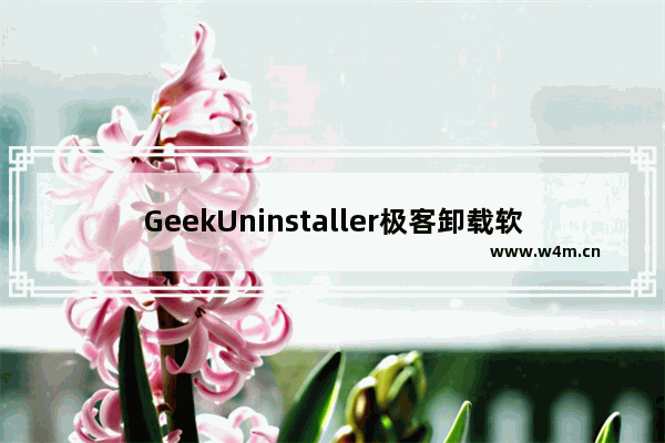 GeekUninstaller极客卸载软件并清理残留文件与注册表