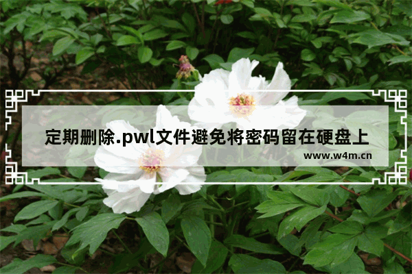 定期删除.pwl文件避免将密码留在硬盘上