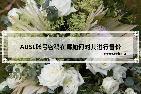 ADSL账号密码在哪如何对其进行备份