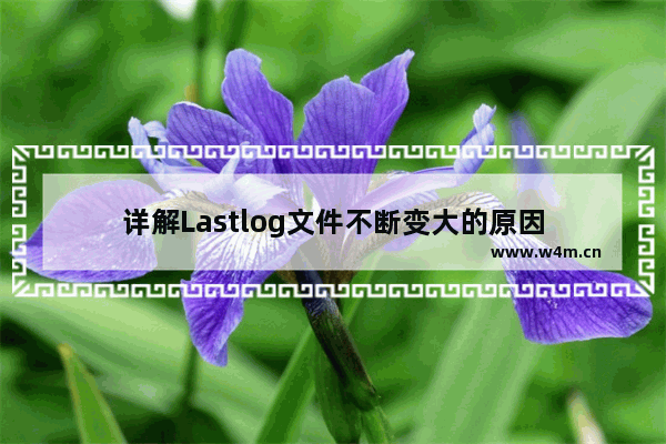 详解Lastlog文件不断变大的原因