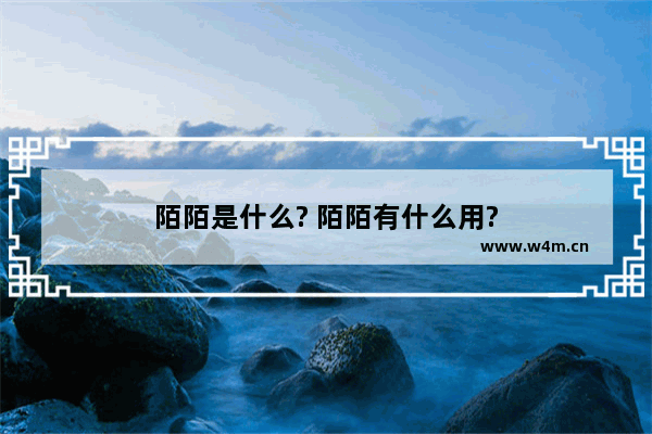 陌陌是什么? 陌陌有什么用?