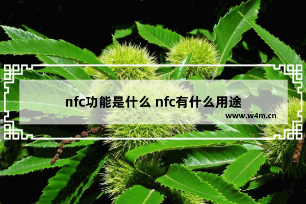 nfc功能是什么 nfc有什么用途