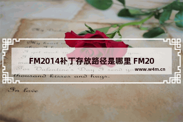 FM2014补丁存放路径是哪里 FM2014补丁存放位置说明