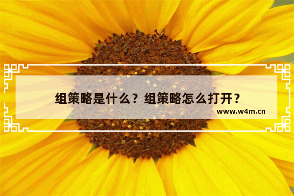 组策略是什么？组策略怎么打开？