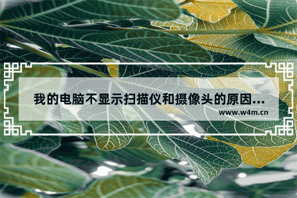 我的电脑不显示扫描仪和摄像头的原因及解决方法