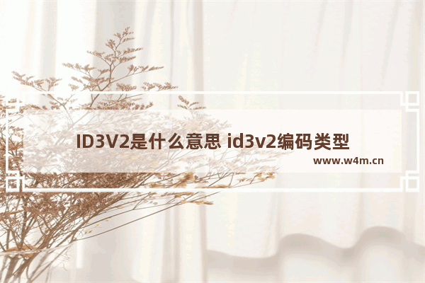 ID3V2是什么意思 id3v2编码类型是什么