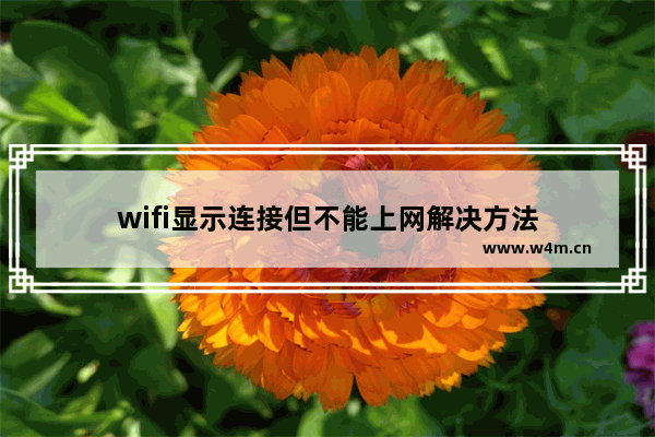 wifi显示连接但不能上网解决方法