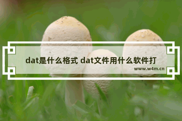 dat是什么格式 dat文件用什么软件打开