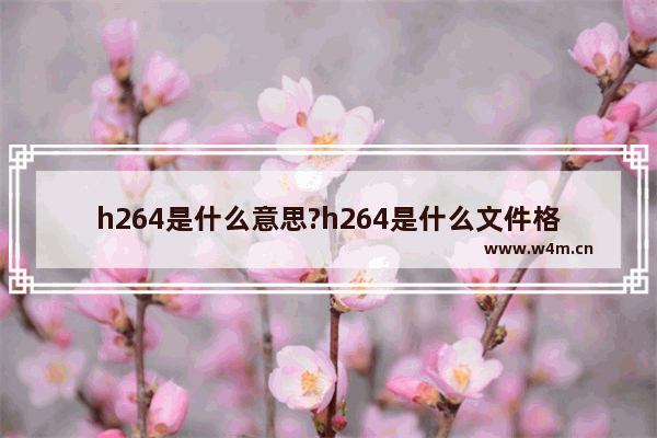 h264是什么意思?h264是什么文件格式