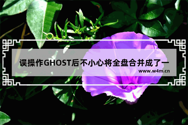 误操作GHOST后不小心将全盘合并成了一个分区数据恢复技巧详细介绍