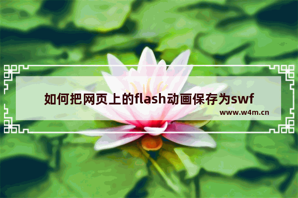 如何把网页上的flash动画保存为swf格式文件(缓存提取)