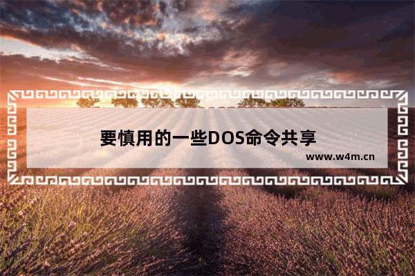 要慎用的一些DOS命令共享