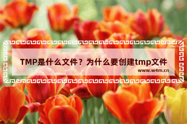 TMP是什么文件？为什么要创建tmp文件以及用什么打开