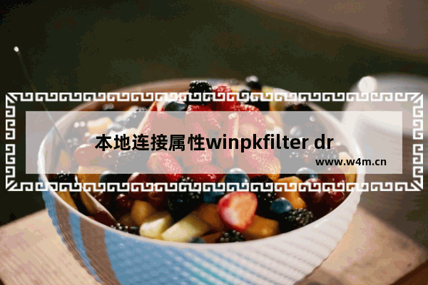 本地连接属性winpkfilter driver是什么及WinpkFilter for Win的含义