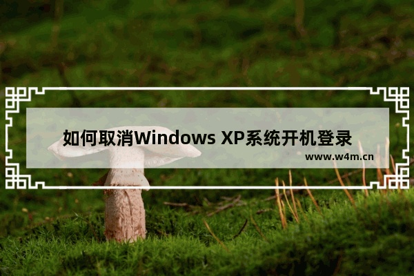 如何取消Windows XP系统开机登录界面的方法步骤