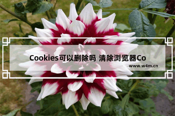 Cookies可以删除吗 清除浏览器Cookies图文教程