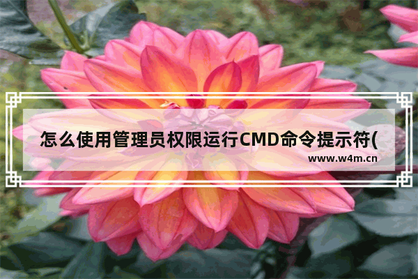 怎么使用管理员权限运行CMD命令提示符(2种实现方法)