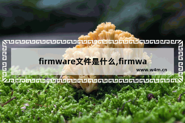 firmware文件是什么,firmware是什么意思