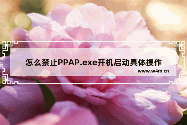 怎么禁止PPAP.exe开机启动具体操作步骤