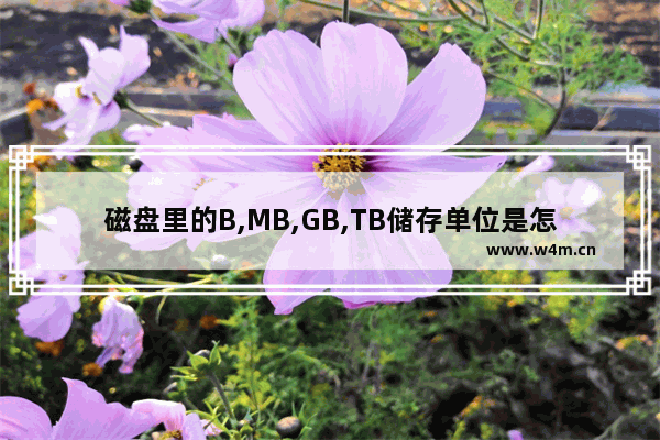 磁盘里的B,MB,GB,TB储存单位是怎么换算大小的?