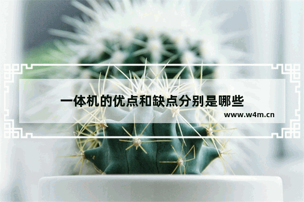 一体机的优点和缺点分别是哪些