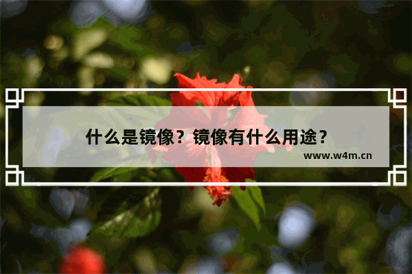 什么是镜像？镜像有什么用途？