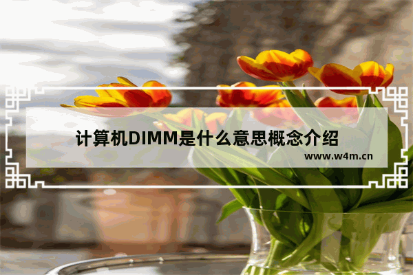 计算机DIMM是什么意思概念介绍