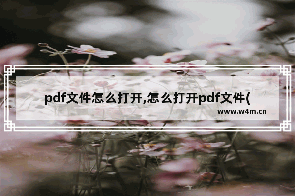 pdf文件怎么打开,怎么打开pdf文件(图文详细解决方法)