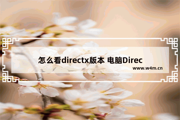 怎么看directx版本 电脑DirectX版本怎么看