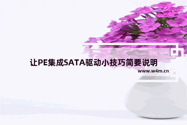 让PE集成SATA驱动小技巧简要说明