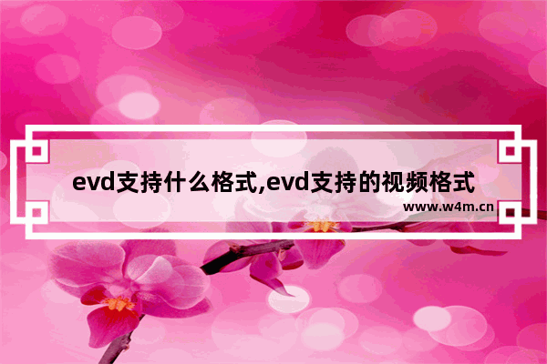 evd支持什么格式,evd支持的视频格式(详细说明)