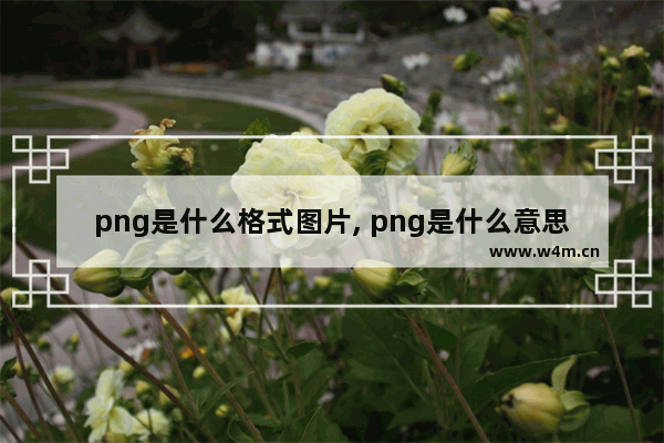 png是什么格式图片, png是什么意思(详细说明)