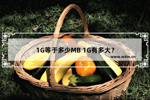 1G等于多少MB 1G有多大？