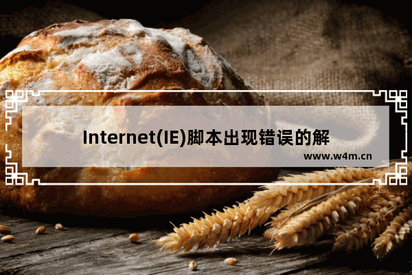 Internet(IE)脚本出现错误的解决办法