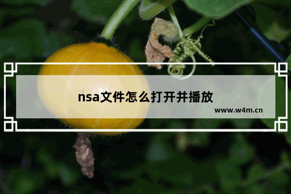 nsa文件怎么打开并播放