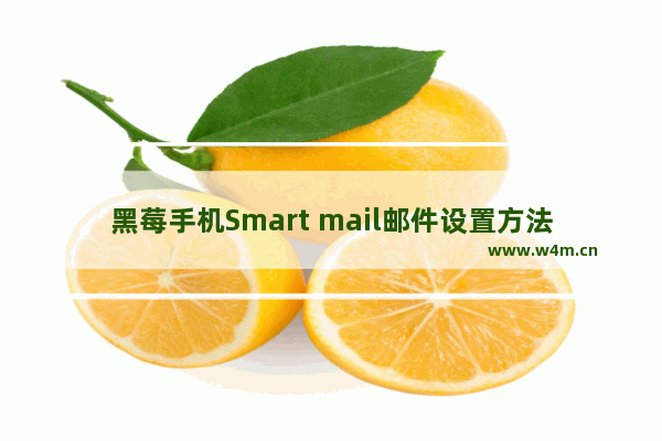 黑莓手机Smart mail邮件设置方法