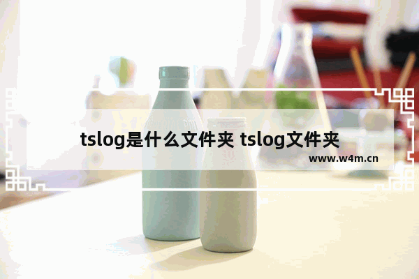 tslog是什么文件夹 tslog文件夹可以删除吗