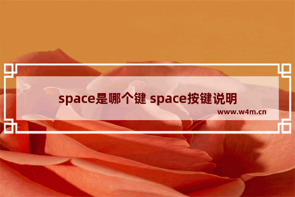 space是哪个键 space按键说明