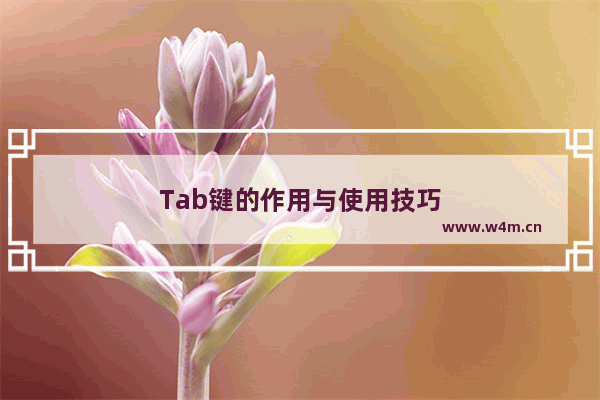 Tab键的作用与使用技巧