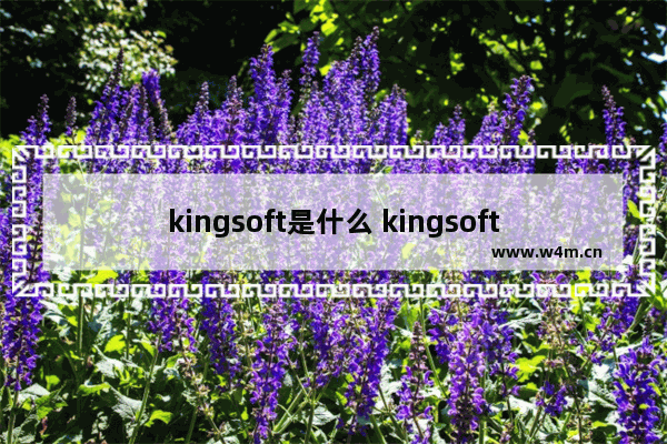 kingsoft是什么 kingsoft的介绍