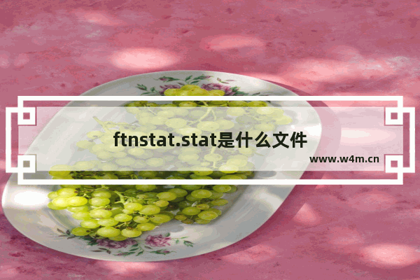 ftnstat.stat是什么文件