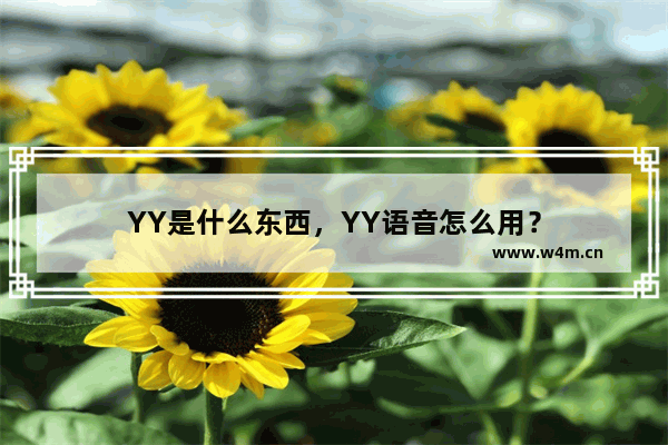 YY是什么东西，YY语音怎么用？