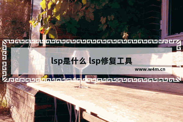 lsp是什么 lsp修复工具